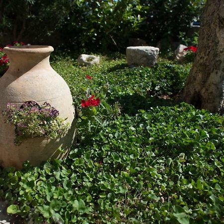 Grandi Trulli Bed & Breakfast Alberobello Kültér fotó